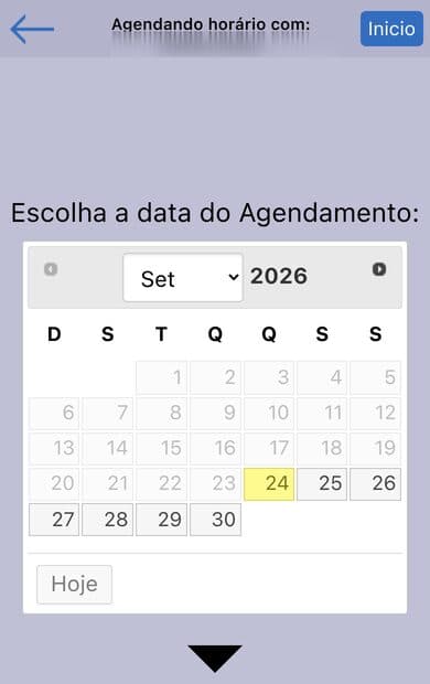 Tela de escolha de data do TopSalão no celular, com calendário simples